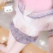 ヒメ日記 2026/02/17 13:04 投稿 ねこ ごほうびSPA神戸店