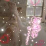 ヒメ日記 2026/02/21 16:40 投稿 いおり【この女棒愛が強すぎる】 なすがママされるがママ 宇都宮