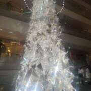 ヒメ日記 2025/12/16 23:58 投稿 なこ ハニープラザ（ユメオト）