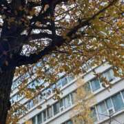 ヒメ日記 2025/12/21 21:59 投稿 なこ ハニープラザ（ユメオト）