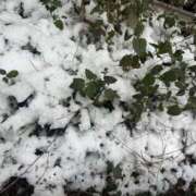 ヒメ日記 2026/02/08 23:30 投稿 ひめか 横浜ミセスアロマ（ユメオト）