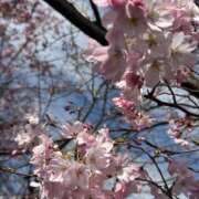 ヒメ日記 2026/03/28 15:00 投稿 ひめか 横浜ミセスアロマ（ユメオト）