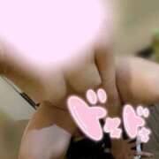 ヒメ日記 2025/11/24 21:46 投稿 ゆうり 今こそ!にゃんにゃん学園