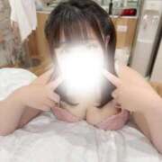 ヒメ日記 2026/01/31 08:15 投稿 さりな セクシーキャット 小田原店