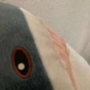 ヒメ日記 2026/02/25 09:12 投稿 ちあき 新宿サンキュー