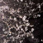 ヒメ日記 2026/04/01 10:21 投稿 カオル RING