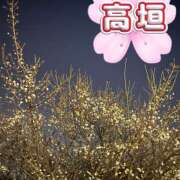 高垣 夜桜🌼今週と来週は🌼 誘惑マル秘ミセス