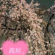 高垣 御礼と今週は🌼 誘惑マル秘ミセス