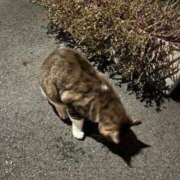 ひかり 今日もありがとうございました? 快楽玉乱堂