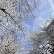 ヒメ日記 2026/04/05 10:46 投稿 ひかり 快楽玉乱堂