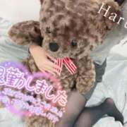 ヒメ日記 2025/11/26 04:49 投稿 はるひ ミセス ファースト -お姉さん・若妻専門店-