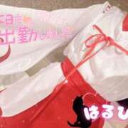 ヒメ日記 2026/06/27 12:37 投稿 はるひ ミセス ファースト -お姉さん・若妻専門店-