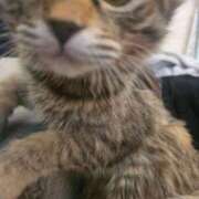 ヒメ日記 2026/01/03 22:16 投稿 あきな 丸妻 横浜本店