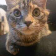 ヒメ日記 2026/01/06 01:46 投稿 あきな 丸妻 横浜本店