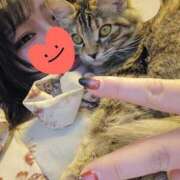 ヒメ日記 2026/01/06 15:28 投稿 あきな 丸妻 横浜本店