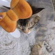 ヒメ日記 2026/02/16 13:33 投稿 あきな 丸妻 横浜本店