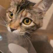 ヒメ日記 2026/02/20 12:08 投稿 あきな 丸妻 横浜本店