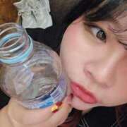 ヒメ日記 2026/02/20 15:42 投稿 あきな 丸妻 横浜本店