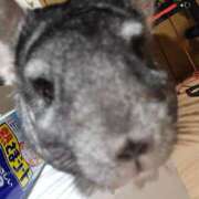 ヒメ日記 2026/03/19 22:44 投稿 あきな 丸妻 横浜本店