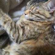 ヒメ日記 2026/03/22 11:33 投稿 あきな 丸妻 横浜本店