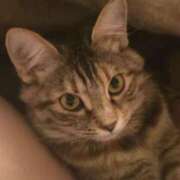 ヒメ日記 2026/03/24 13:50 投稿 あきな 丸妻 横浜本店