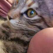 ヒメ日記 2026/03/25 10:21 投稿 あきな 丸妻 横浜本店