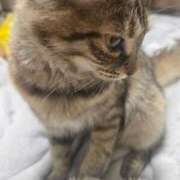 ヒメ日記 2026/04/07 23:41 投稿 あきな 丸妻 横浜本店