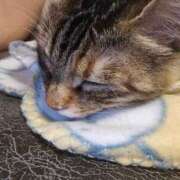 あきな すみませんー 丸妻 横浜本店