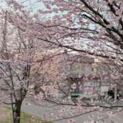 ヒメ日記 2026/04/22 20:21 投稿 桜井　あいこ リラクゼーションサロン　le Cocon～ルココン～