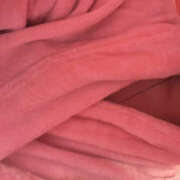 りこ 出勤 PINK ROOM（ピンクルーム）