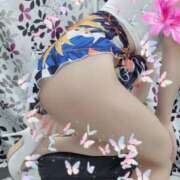 ヒメ日記 2025/11/26 03:19 投稿 アヤセ Aroma De Pari（アロマ・デ・パリ）