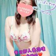 ヒメ日記 2025/11/21 20:21 投稿 あやの 春日部人妻花壇