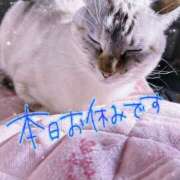 ヒメ日記 2026/01/11 21:02 投稿 あやの 春日部人妻花壇