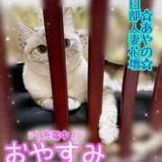 ヒメ日記 2026/01/15 20:11 投稿 あやの 春日部人妻花壇