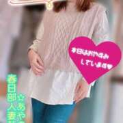 ヒメ日記 2026/02/17 11:01 投稿 あやの 春日部人妻花壇