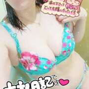 ヒメ日記 2026/02/17 22:11 投稿 あやの 春日部人妻花壇