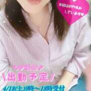 ヒメ日記 2026/04/17 11:01 投稿 あやの 春日部人妻花壇