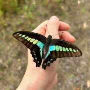 ヒメ日記 2025/11/21 23:27 投稿 あきほ 出会い系人妻ネットワーク 上野〜大塚編