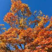 ヒメ日記 2025/12/09 14:33 投稿 あきほ 出会い系人妻ネットワーク 上野〜大塚編