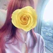 ヒメ日記 2025/12/17 09:09 投稿 あきほ 出会い系人妻ネットワーク 上野〜大塚編