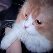 ヒメ日記 2025/11/21 20:00 投稿 優妃 club BLENDA 天王寺・谷9天高ビル店