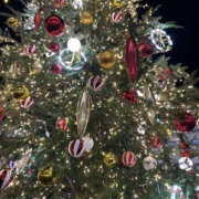 ヒメ日記 2025/12/21 14:05 投稿 ななせ YESグループ　華女