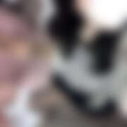 ヒメ日記 2026/01/09 17:43 投稿 じゅり 上野ハンドメイド