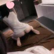 ヒメ日記 2025/11/21 15:30 投稿 ゆう The White