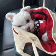 ヒメ日記 2025/12/26 20:38 投稿 あん パイセン