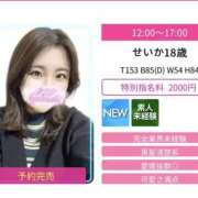 ヒメ日記 2026/02/08 18:21 投稿 せいか スピードエコ京橋店