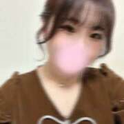 ヒメ日記 2026/02/16 00:11 投稿 せいか スピードエコ京橋店