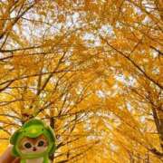 ヒメ日記 2025/11/23 18:46 投稿 ユウキ エピソード(品川)