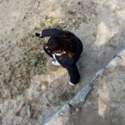 ヒメ日記 2026/01/08 03:16 投稿 ユウキ エピソード(品川)