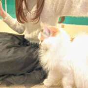 ヒメ日記 2026/02/10 17:16 投稿 ユウキ エピソード(品川)